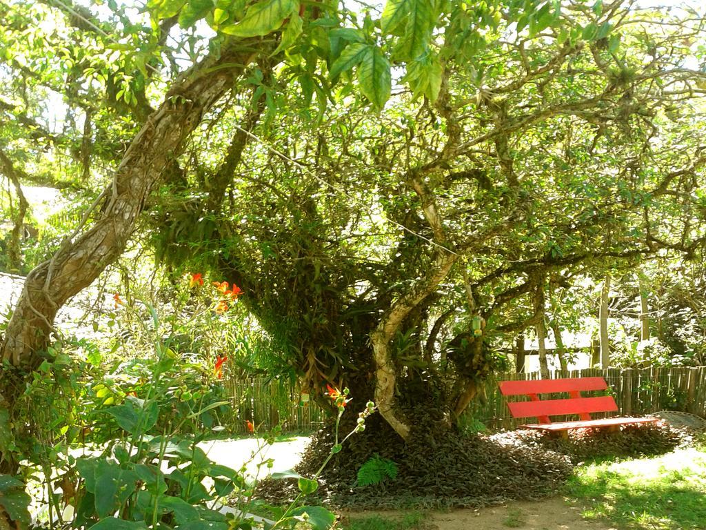 Pousada Terra Linda Praia do Rosa Ngoại thất bức ảnh